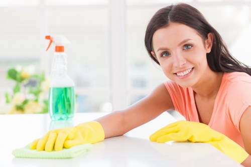 Professional oven cleaning service for Belsize Park homes and flats