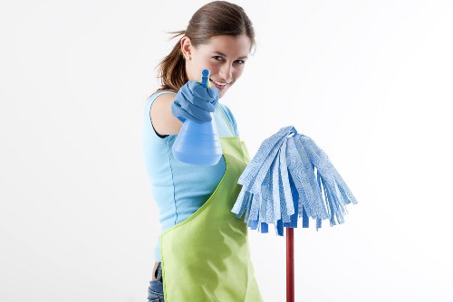 Professional stain removal for carpets in Belsize Park homes