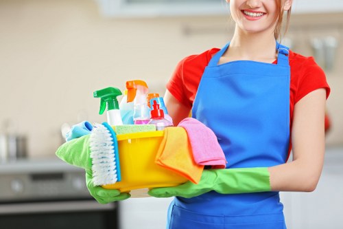 Cleaning support for landlords and small businesses in Belsize Park