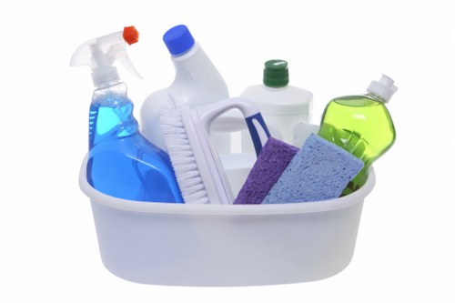 Professional carpet cleaning terms and conditions introduction