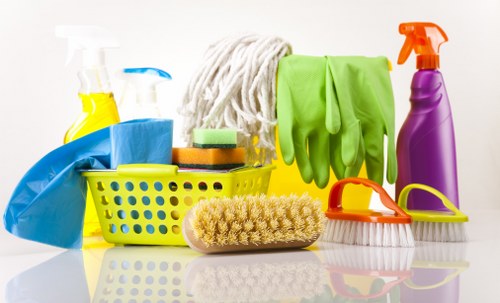 Professional window cleaning for Belsize Park homes and shopfronts