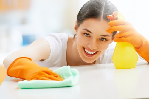 Local deep cleaning service covering Belsize Park and nearby areas