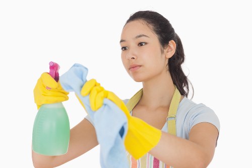 Professional carpet cleaning in a Belsize Park home
