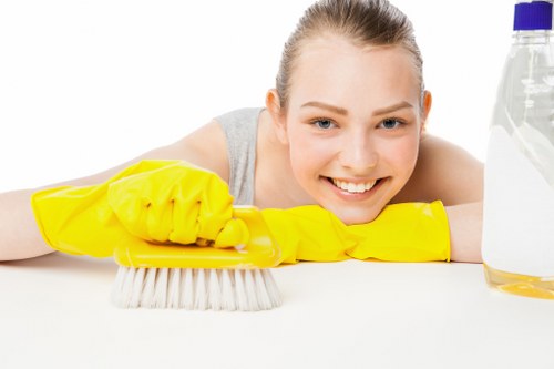 Treating upholstery stains in a Belsize Park flat