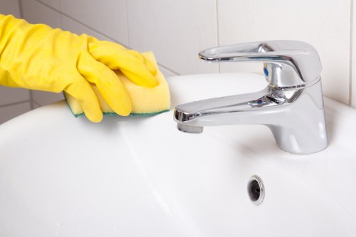 Deep cleaning carpets in a Belsize Park flat