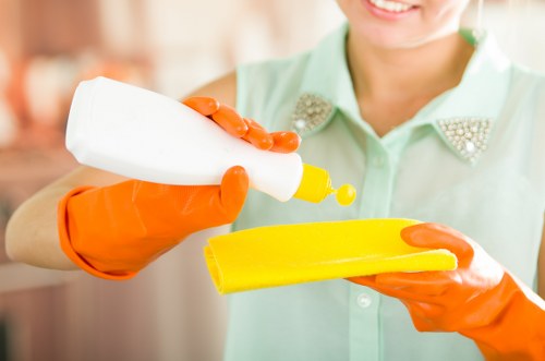 Domestic cleaning tasks in a Belsize Park kitchen and bathroom