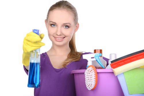 Free quote policy for carpet cleaning services in Belsize Park