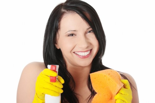 Commercial gutter cleaning for properties in Belsize Park