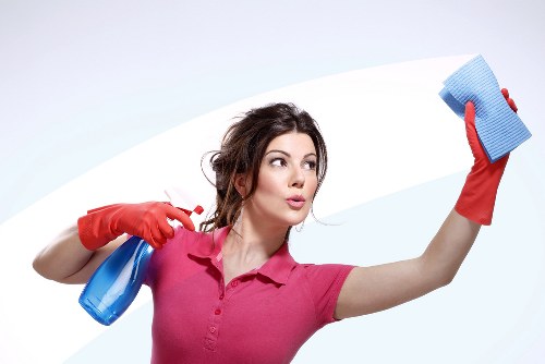 Local pet stain odour removal service for carpets and soft furnishings